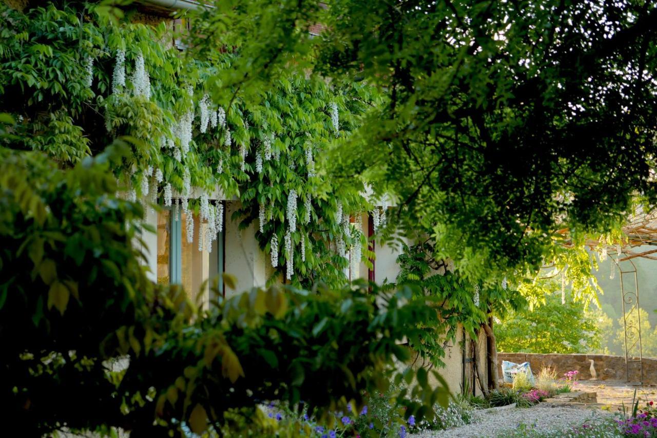 Chambres D'Hotes Secret Pyrenees Lasseube Exterior photo